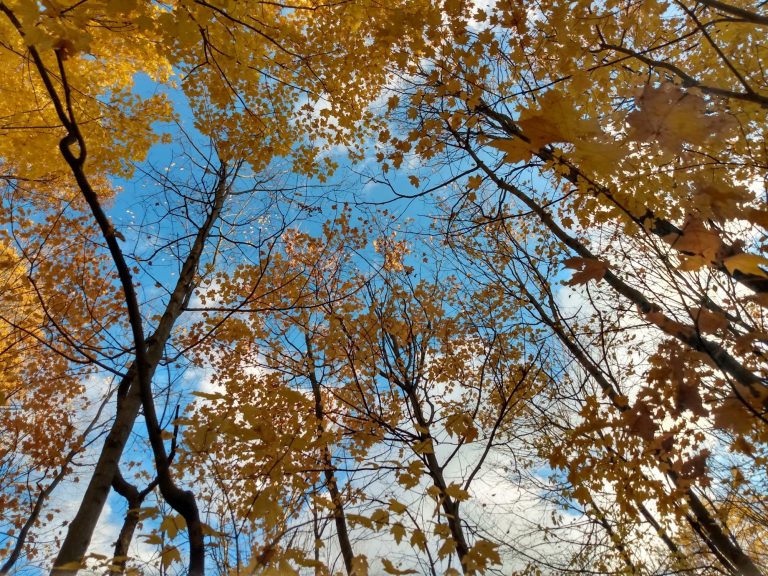 Autumn Season Finds: Handmade Treasures from Inspiring Artists