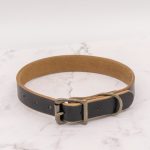 The Compass Leather Dog Collar - Black