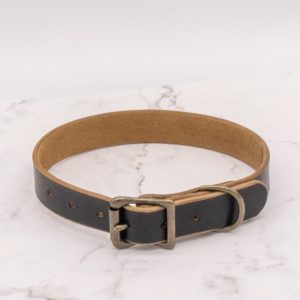 Home 37 The Compass Leather Dog Collar - Black