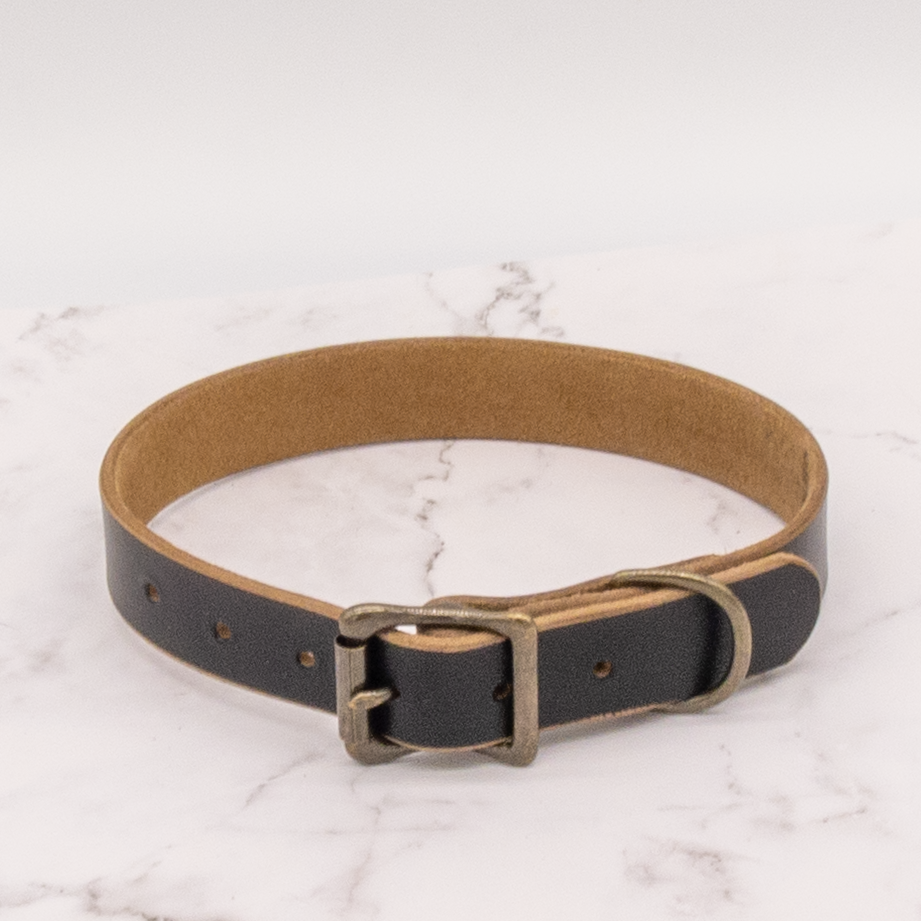 The Compass Leather Dog Collar - Black 1 The Compass Leather Dog Collar - Black