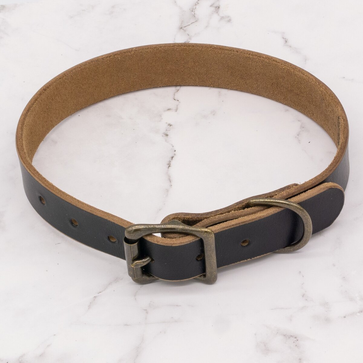 The Compass Leather Dog Collar - Black 6 The Compass Leather Dog Collar - Black - Image 6