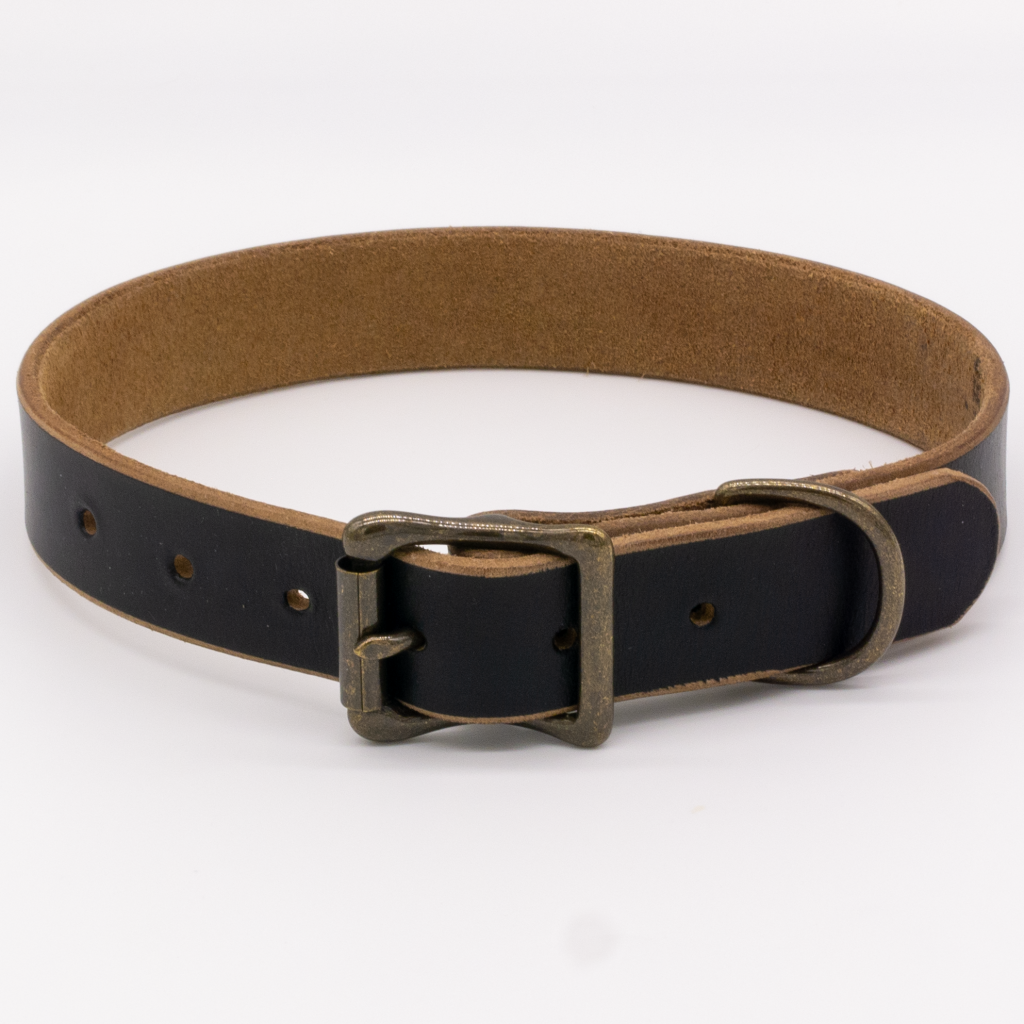 leather dog collar