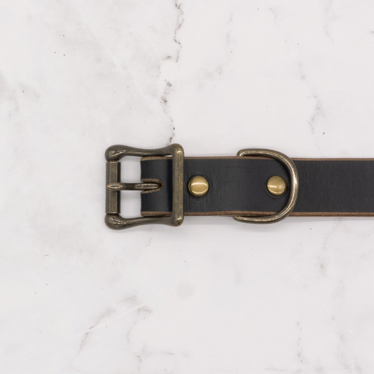 The Compass Leather Dog Collar - Black 2 The Compass Leather Dog Collar - Black - Image 2