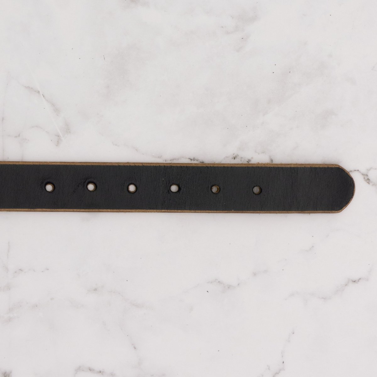 The Compass Leather Dog Collar - Black 3 The Compass Leather Dog Collar - Black - Image 3