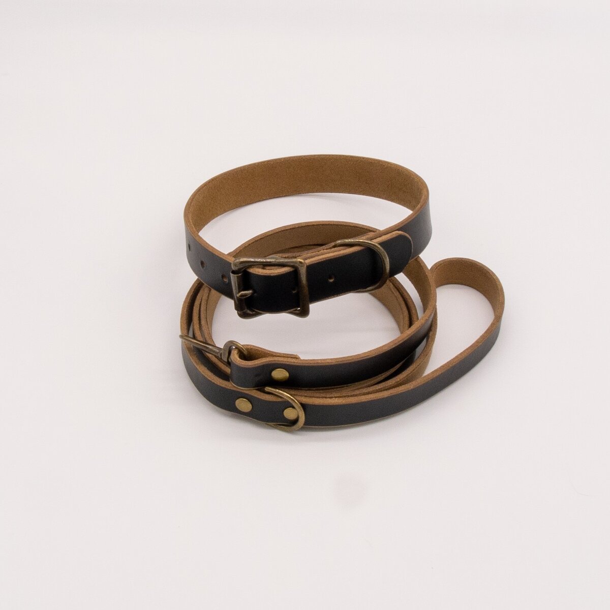 The Compass Leather Dog Collar - Black 7 The Compass Leather Dog Collar - Black - Image 7