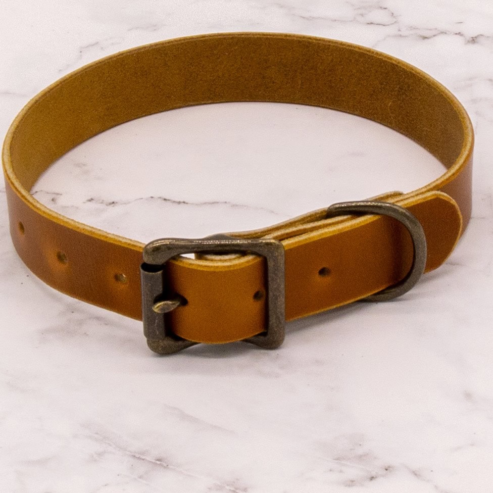 The Compass Leather Dog Collar with Solid Brass Buckle 9 The Compass Leather Dog Collar with Solid Brass Buckle - Image 9