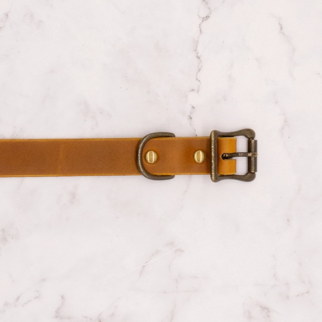 The Compass Leather Dog Collar with Solid Brass Buckle 11 The Compass Leather Dog Collar with Solid Brass Buckle - Image 11